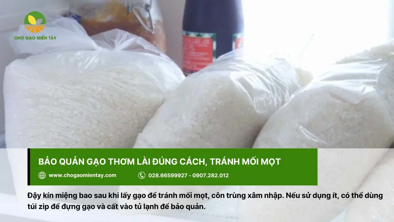 Cần bảo quản kỹ gạo Thơm Lài để tránh mối mọt xâm nhập