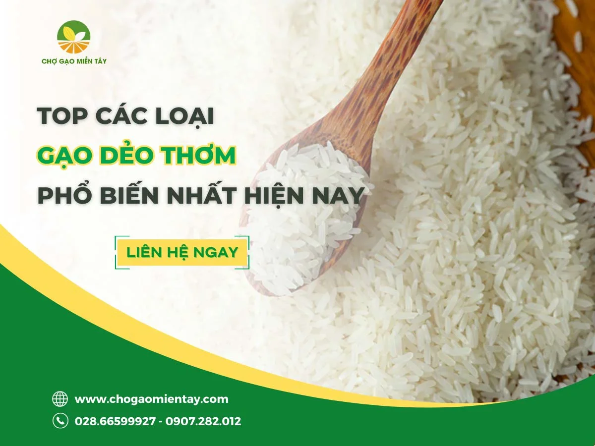 Top 12 loại gạo dẻo thơm phổ biến nhất hiện nay