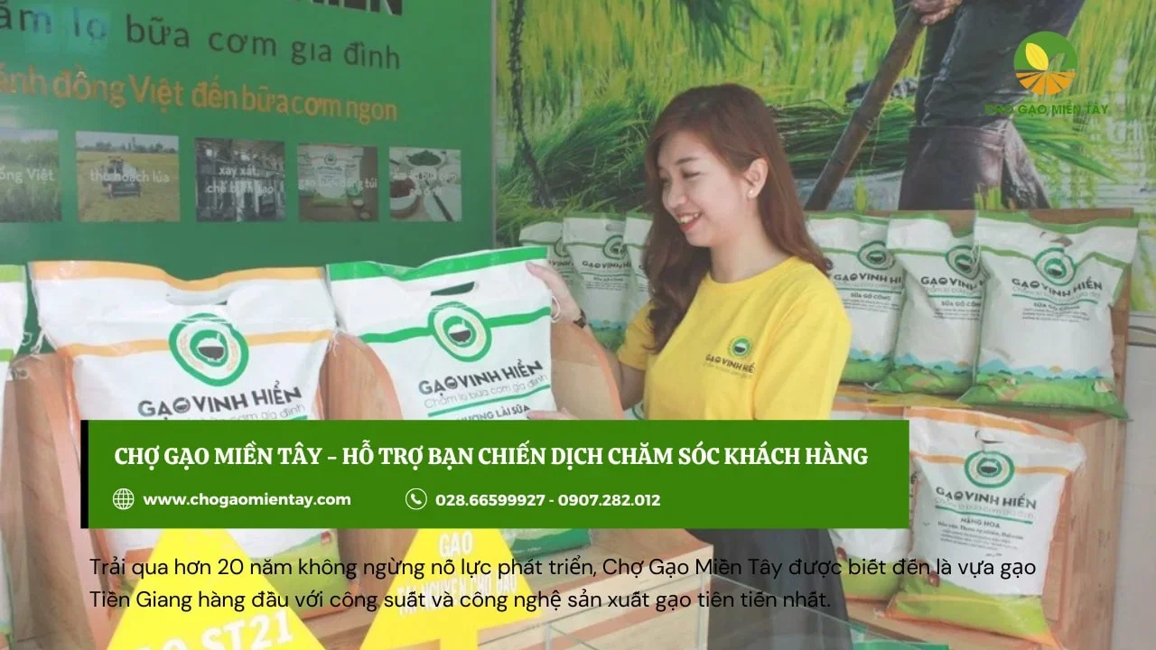 Chợ gạo miền tây hỗ trợ tư vấn miễn phí cho đại lý kinh doanh gạo