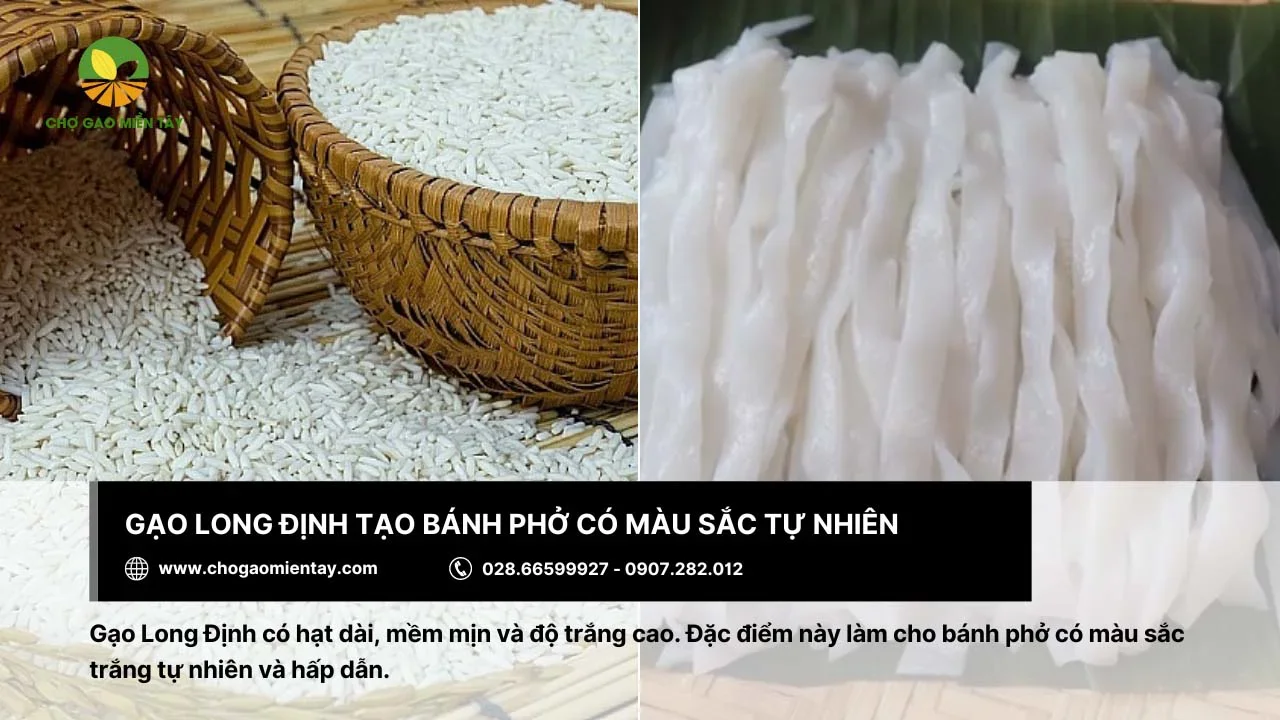 Bánh phở làm từ gạo Long Định sẽ có màu sắc tự nhiên