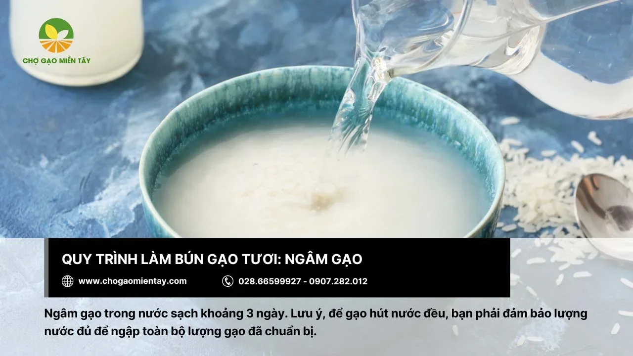 Cần ngâm gạo với nước sạch trong 3 ngày