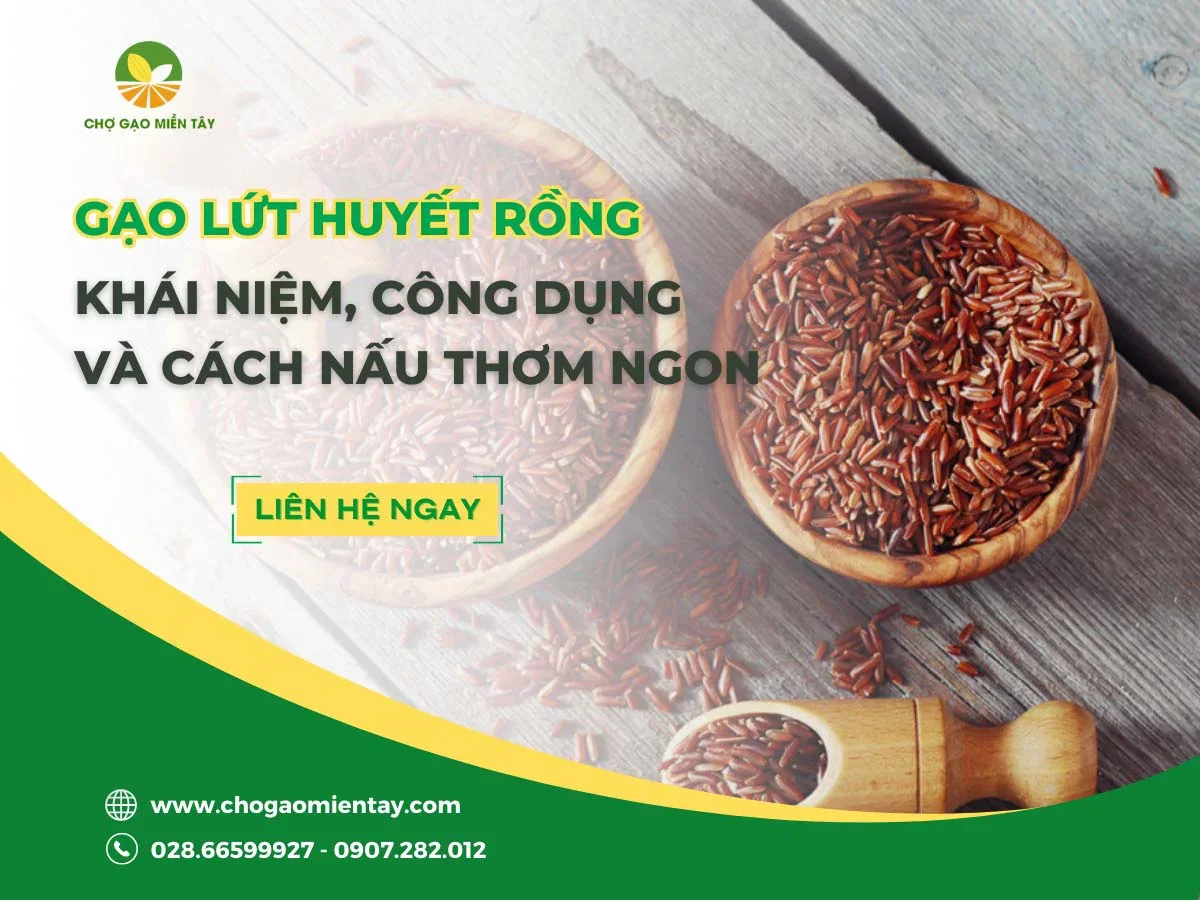 Gạo lứt huyết rồng: Khái niệm, công dụng và cách nấu thơm ngon