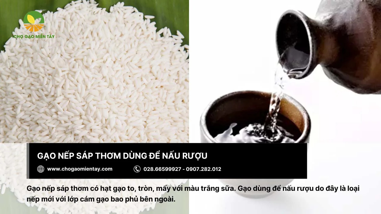 Nấu rượu ngon bằng gạo nếp sáp thơm