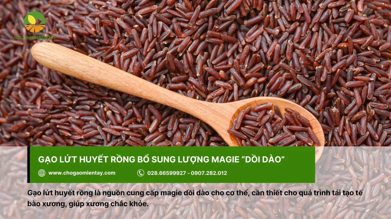 Gạo lứt huyết rồng cung cấp nhiều dưỡng chất magie