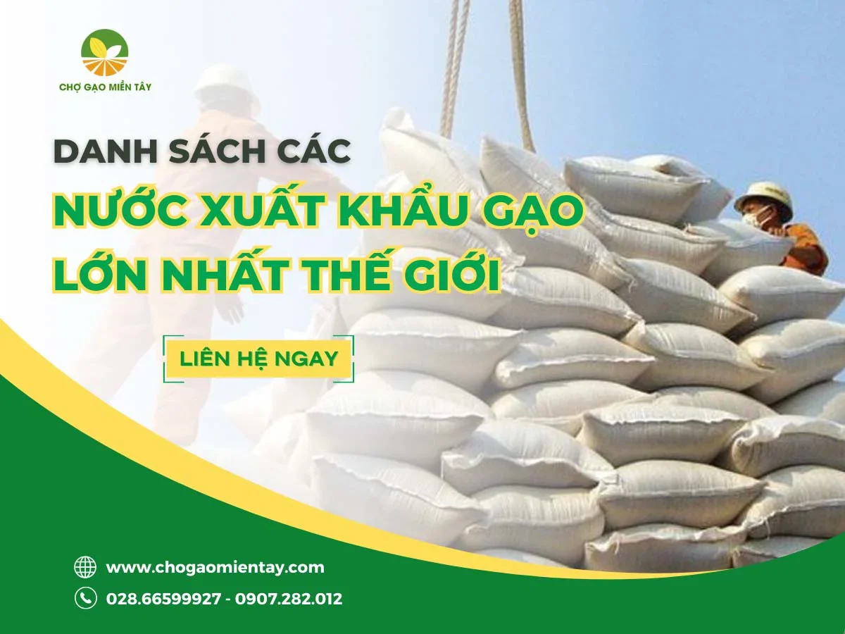 Top 10 nước xuất khẩu gạo lớn nhất thế giới hiện nay