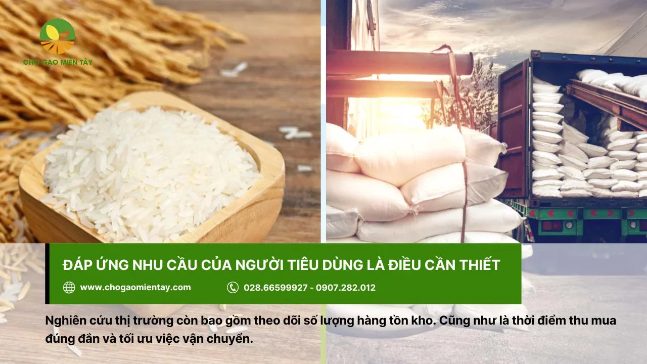 Chú ý đến vấn đề số lượng gạo tồn kho, thời điểm mua và tối ưu vận chuyển