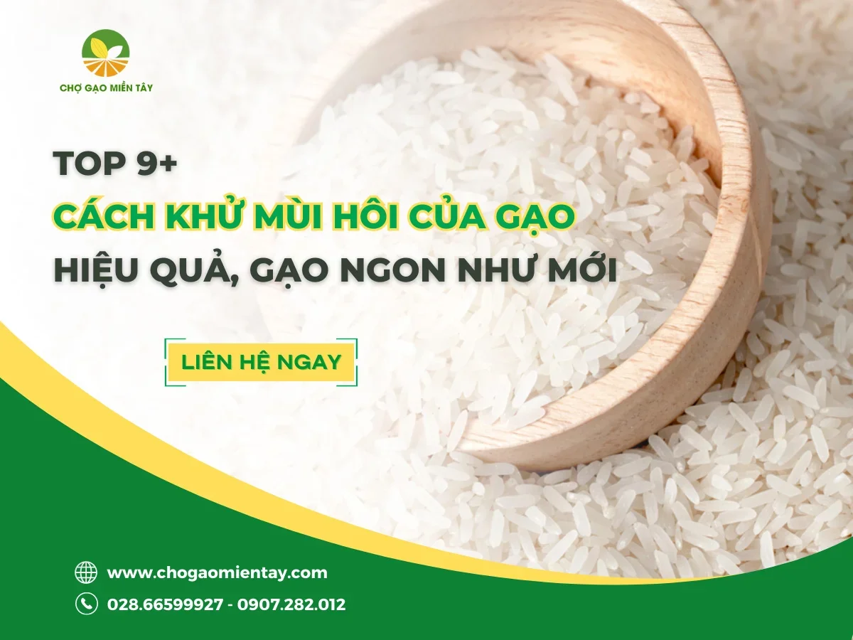 Cách Khử Mùi Hôi Của Gạo Hiệu Quả, Gạo Thơm Ngon Như Mới