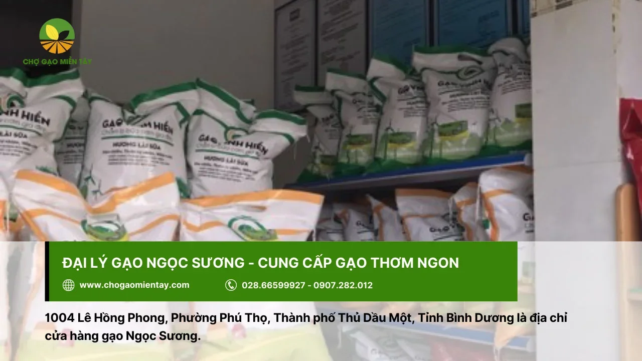 Ngọc Sương là một trong nhiều đại lý cung cấp gạo thơm ngon ở Bình Dương