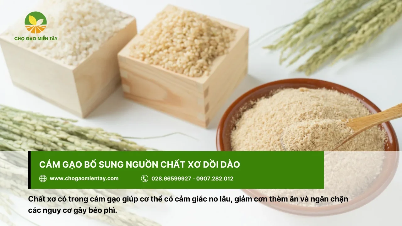 Cám gạo hỗ trợ chống oxy hóa