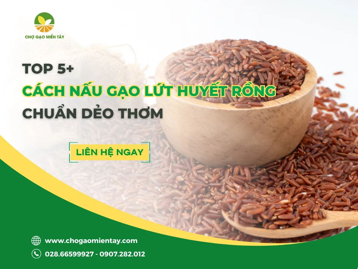 Cách Nấu Gạo Lứt Huyết Rồng Chuẩn Dẻo Thơm
