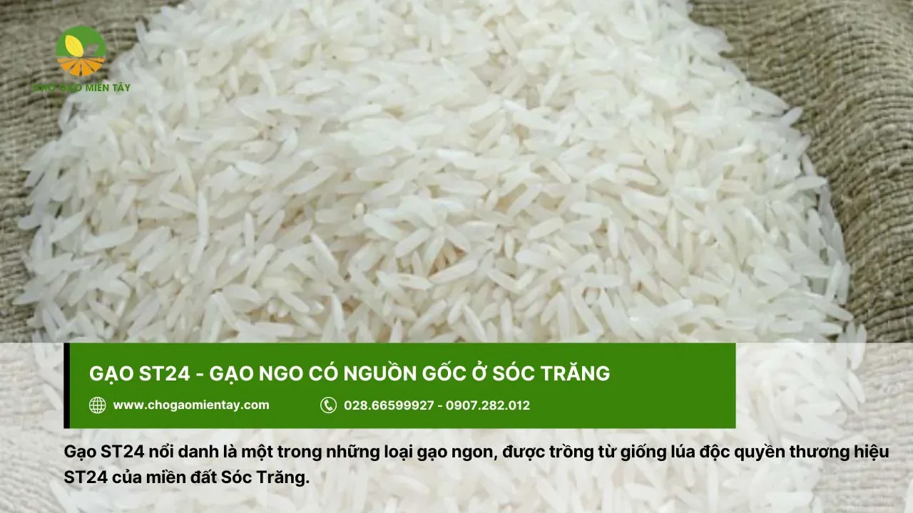Gạo ST24 cho cơm dẻo, vẫn không bị cứng khi để nguội
