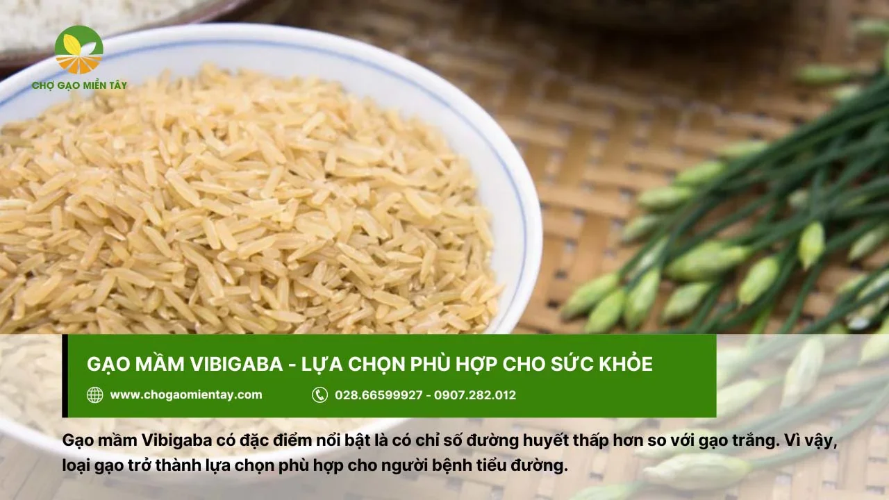 Gạo mầm Vibigaba thích hợp sử dụng làm quà biếu