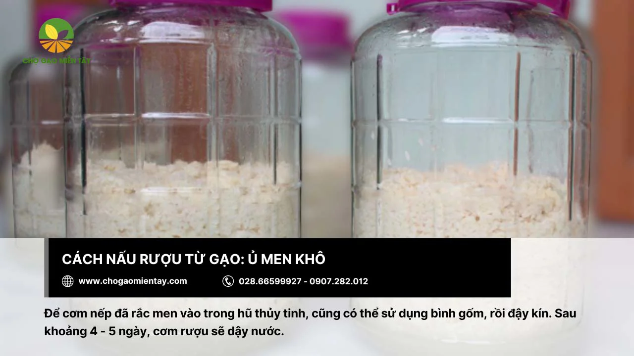Ủ men khô trong bình thủy tinh