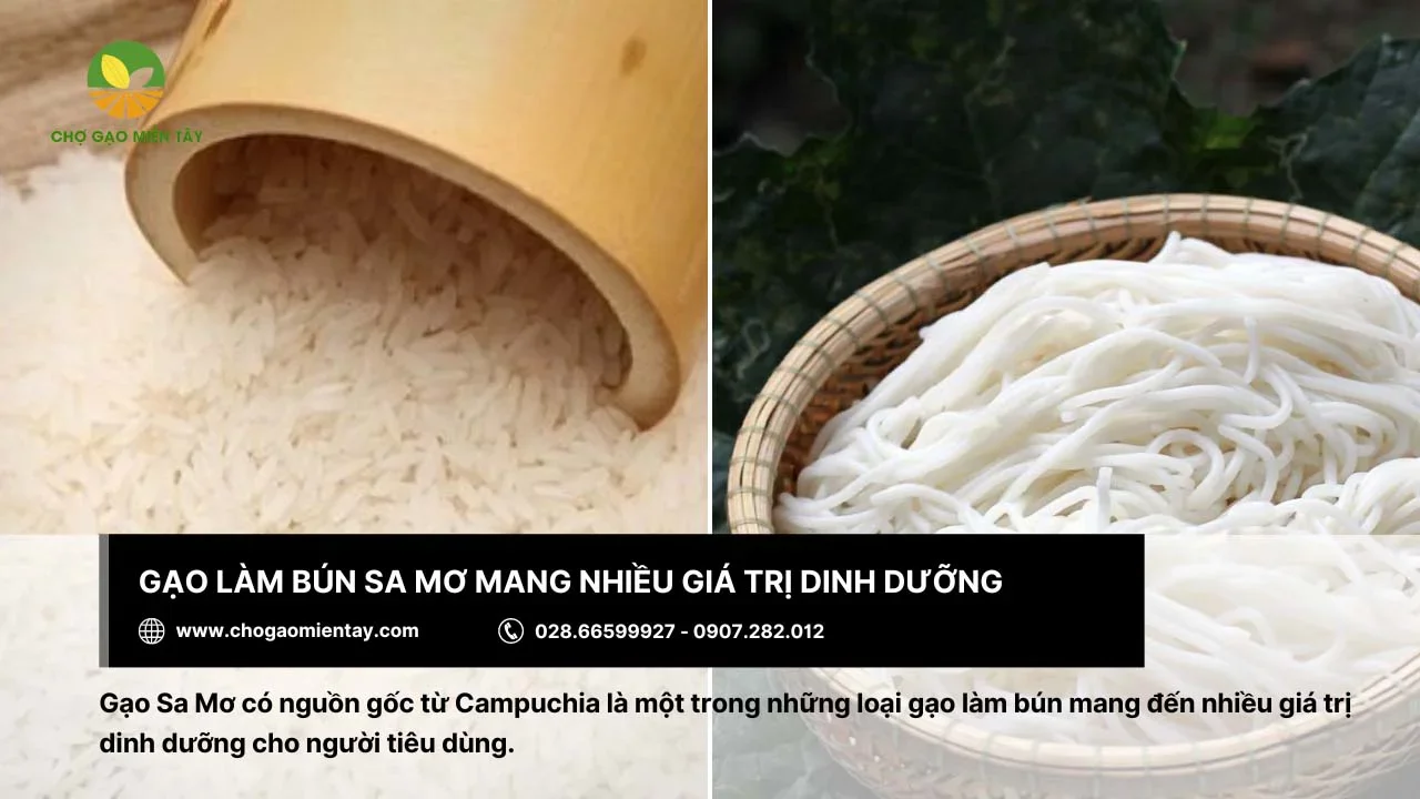 Bún đạt chất lượng dinh dưỡng nhờ sản xuất từ gạo Sa Mơ