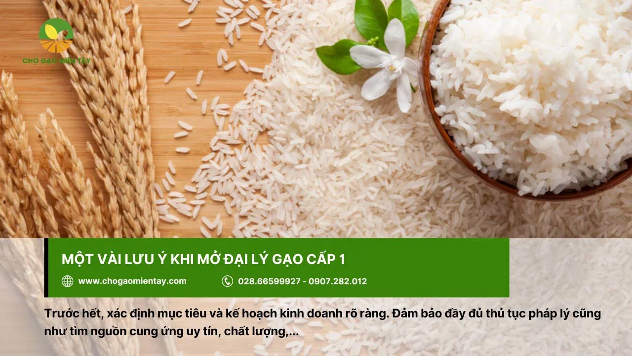 Những lưu ý khi mở đại lý gạo cấp 1
