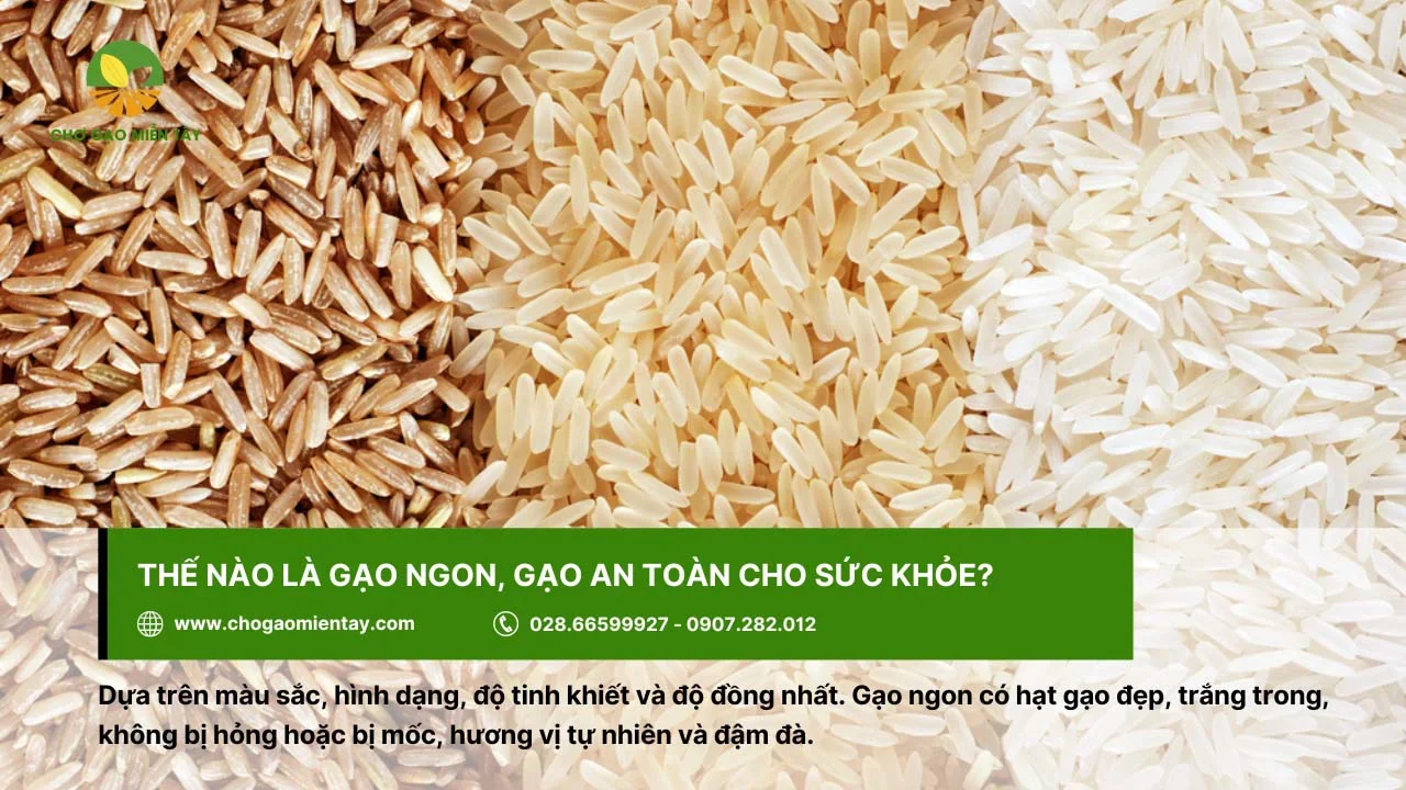 Gạo được đánh giá là ngon khi đảm bảo chất lượng, có hương vị tự nhiên