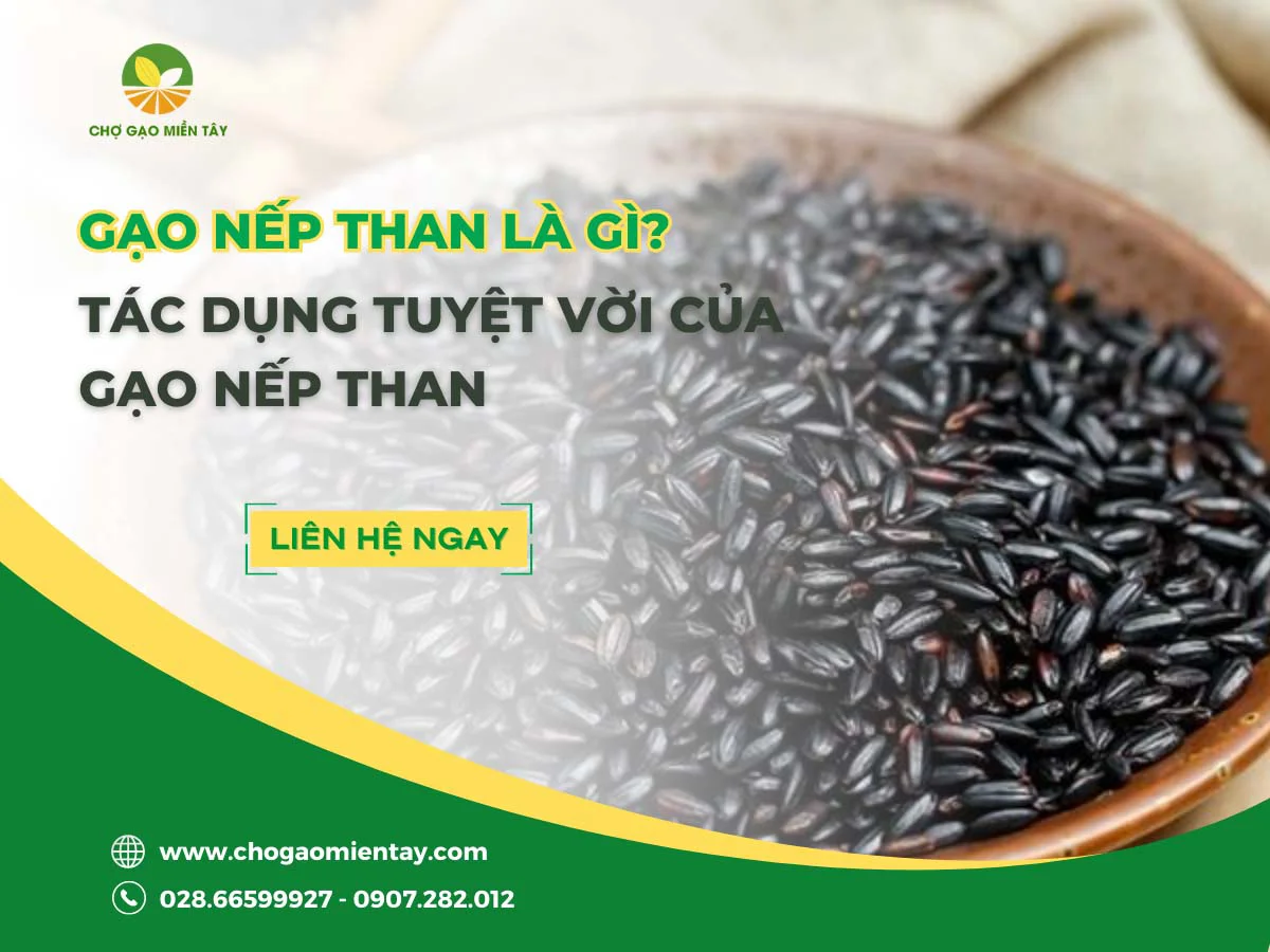 Gạo nếp than là gì? Tác dụng tuyệt vời của gạo nếp than