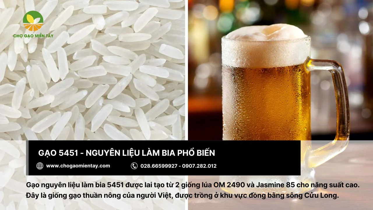 Nguyên liệu làm bia chất lượng - gạo 5451
