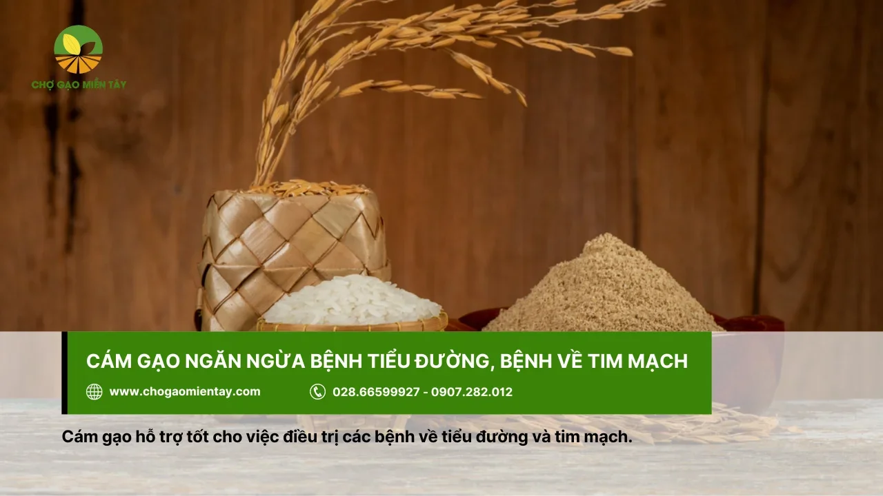 Ngừa các bệnh tim mạch, tiểu đường bằng cám gạo