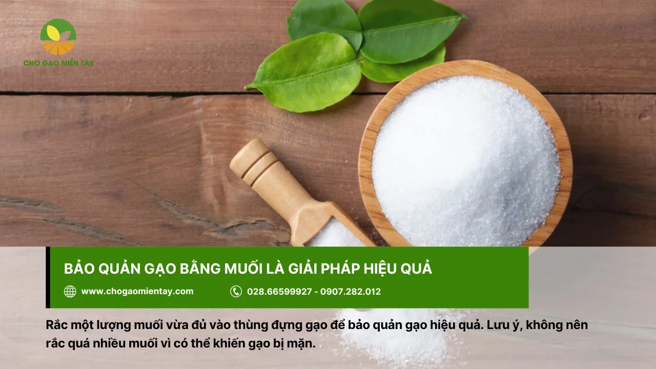 Bảo quản gạo bằng muối