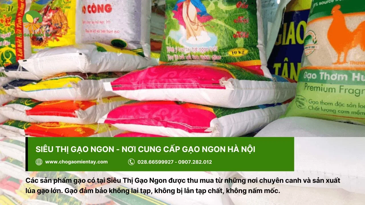 Siêu Thị Gạo Ngon cung cấp gạo không tạp chất