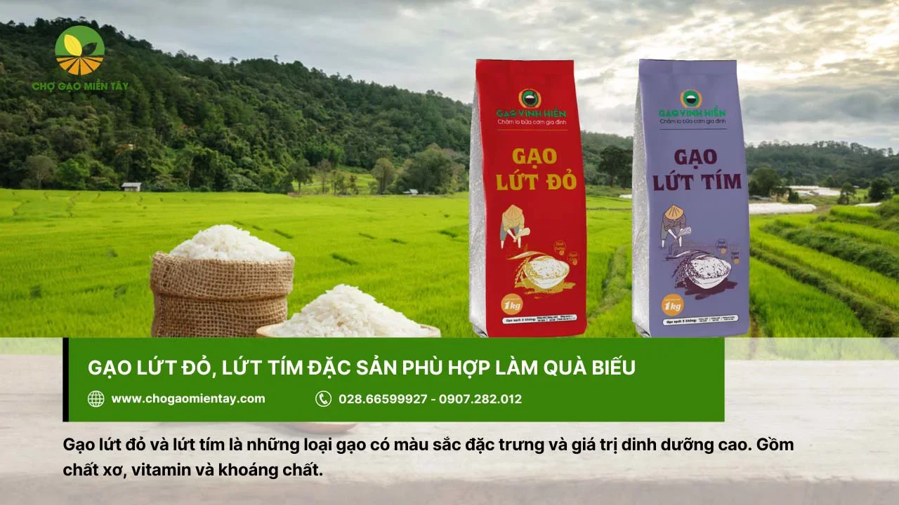 Giá trị dinh dưỡng của gạo lứt đỏ, lứt tím được dùng làm quà biếu trong nhiều dịp