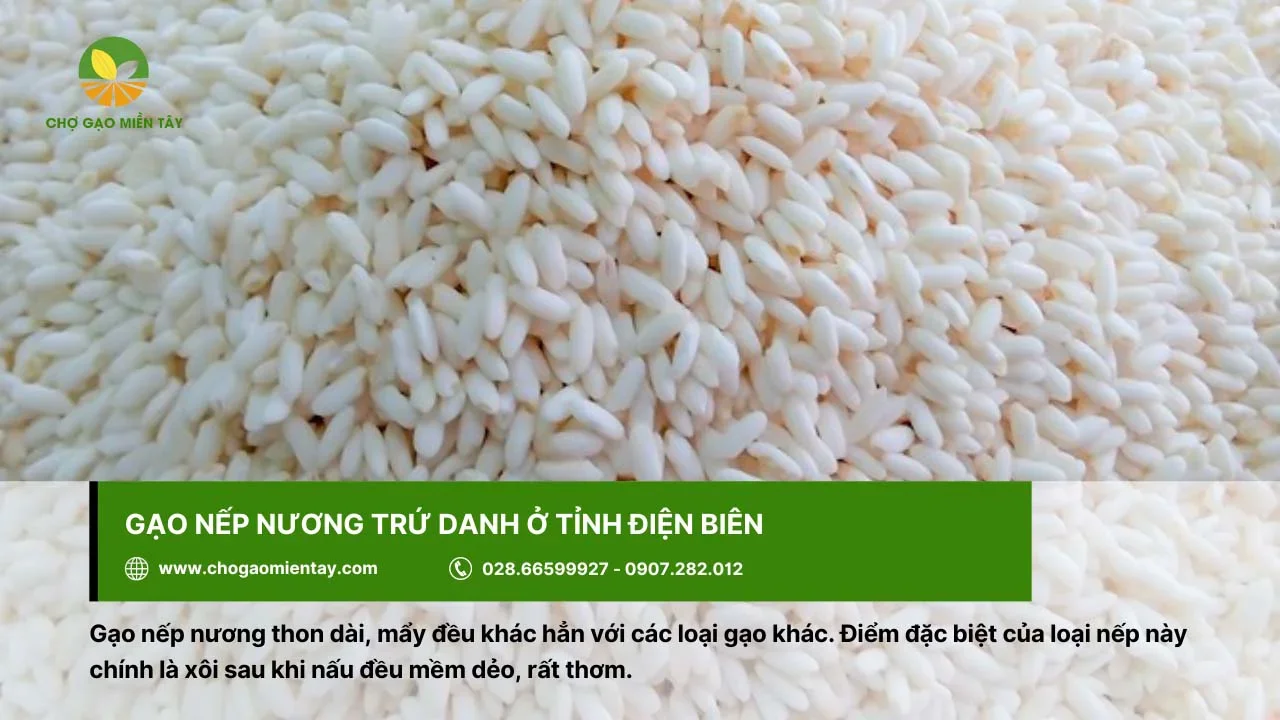 Gạo nếp nương được dùng vào các dịp lễ, Tết,...