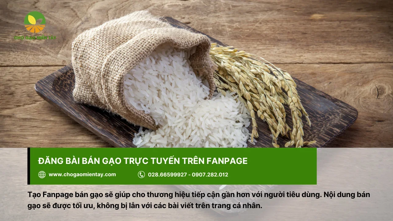 Đăng bài bán gạo trên Fanpage sẽ giúp tiếp cận với nhiều người dùng hơn