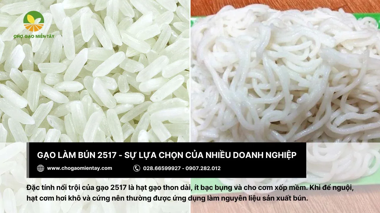 Nhiều doanh nghiệp chọn gạo 2517 để làm bún