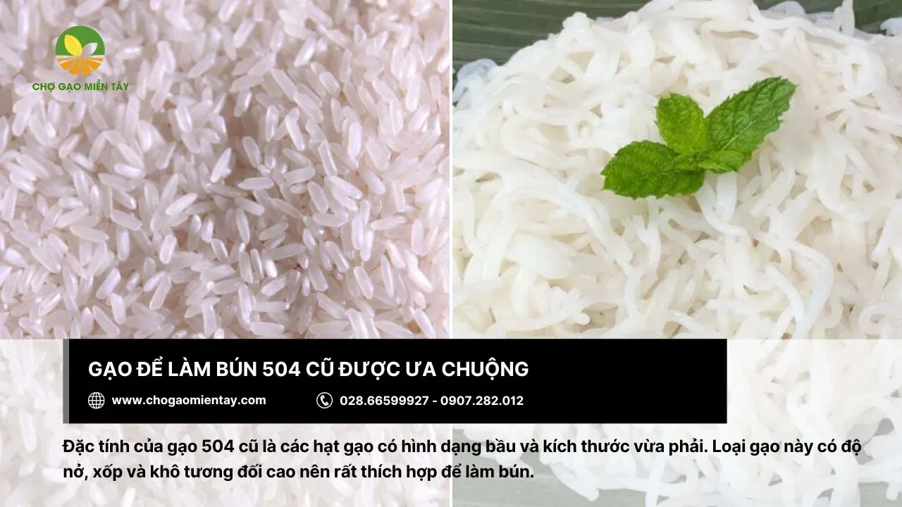 Gạo 504 cũ được ưa chuộng trong sản xuất bún