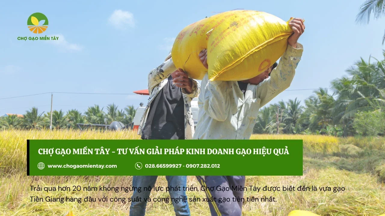 Cạnh tranh về giá không phải là cách kinh doanh hay và lâu dài khi làm đại lý kinh doanh gạo