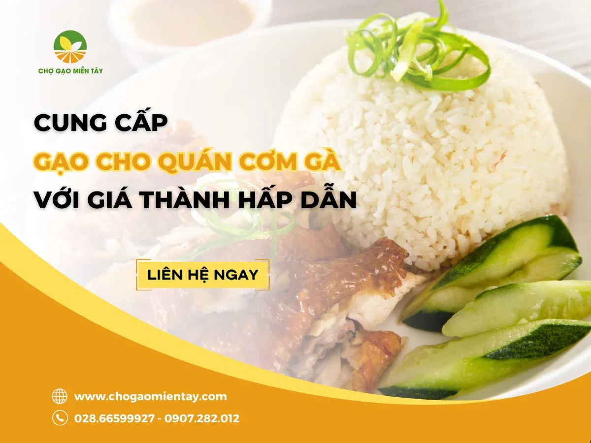 Cung cấp gạo cho quán cơm gà với giá thành hấp dẫn