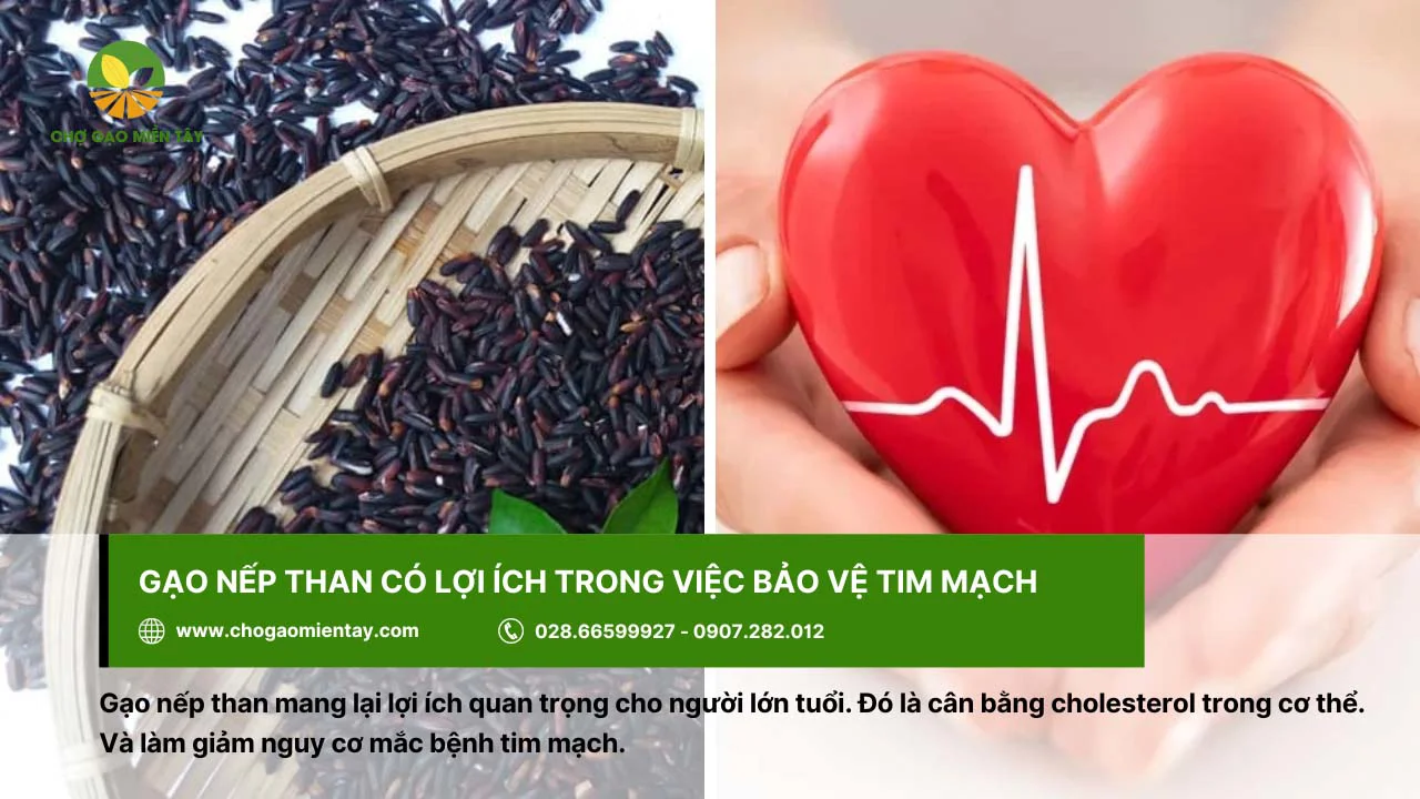 Ăn gạo nếp than hỗ trợ bảo vệ tim mạch