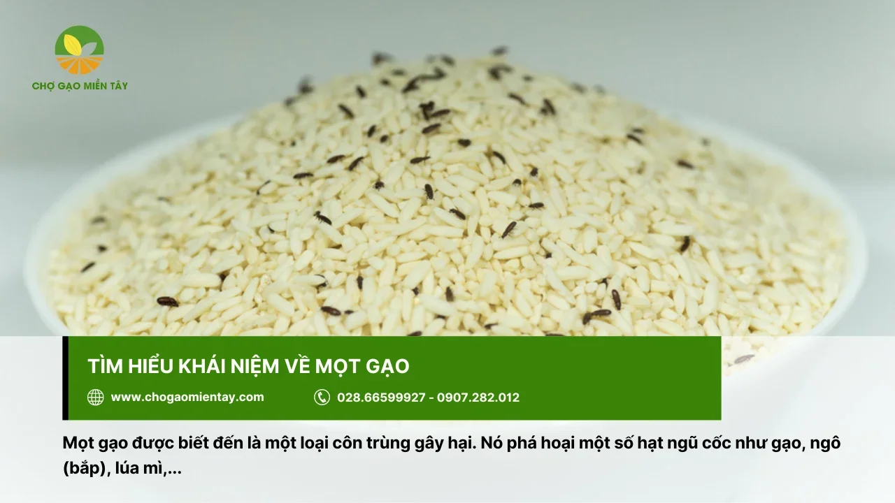 Mọt gọt là loại côn trùng gây hại