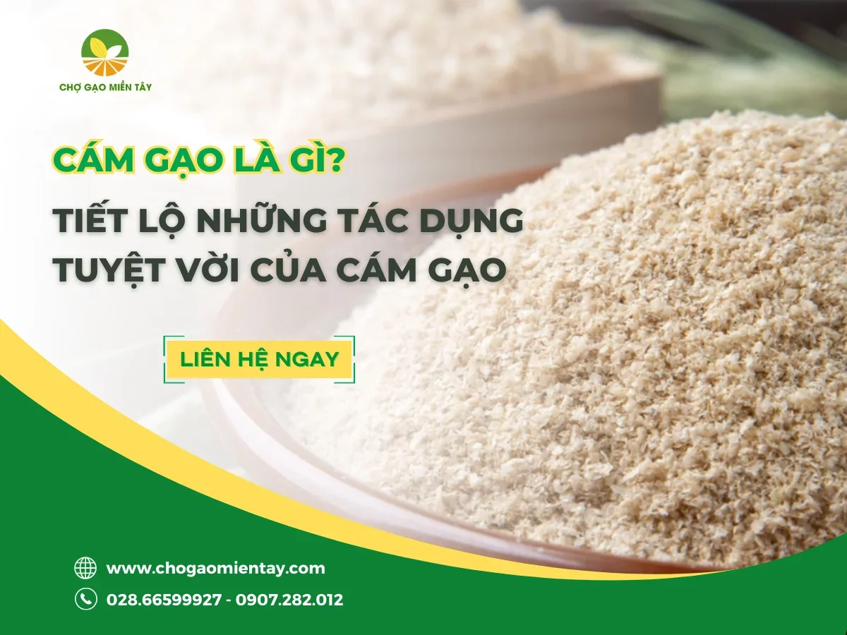 Cám gạo là gì? Tiết lộ 14 tác dụng tuyệt vời của cám gạo