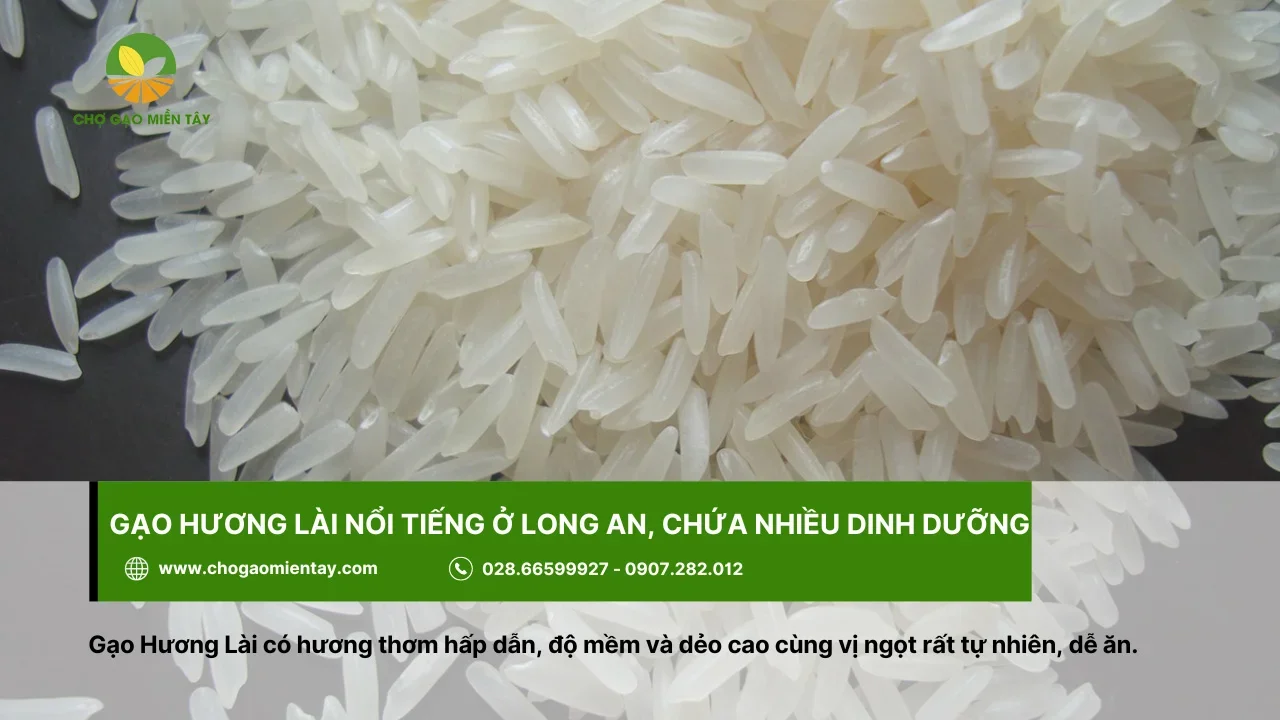 Gạo Hương Lài chứa hàm lượng dinh dưỡng cao