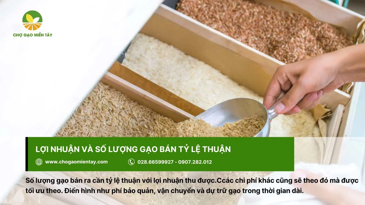 Lợi nhuận và số lượng gạo bán cần tỷ lệ thuận với nhau