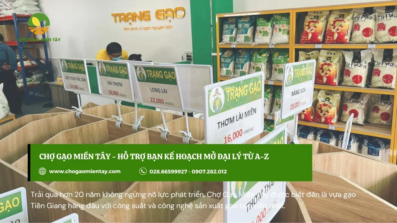 Trang trí cửa hàng gạo kinh doanh gạo đẹp bắt mắt