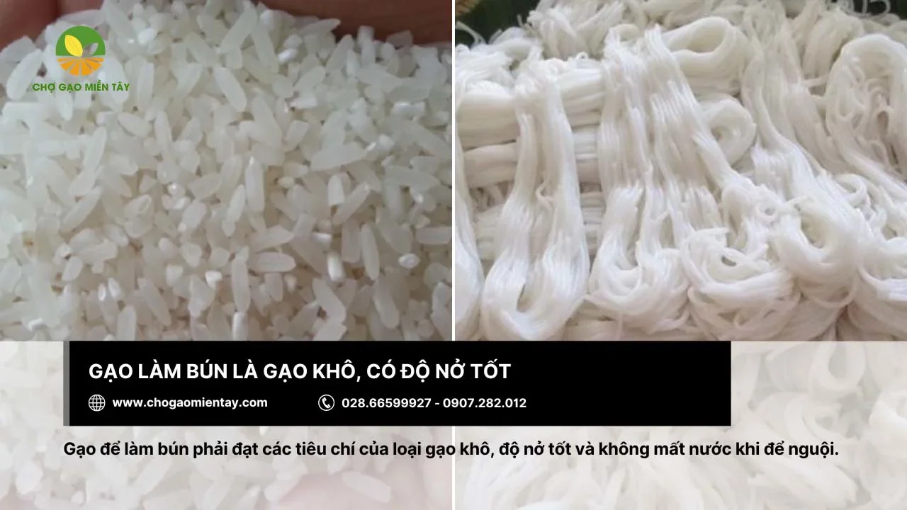 Khi làm bún nên chọn loại gạo khô và có độ nở tốt