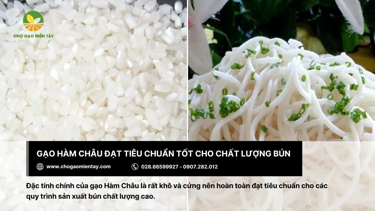 Bún được sản xuất tươi ngon từ gạo Hàm Châu