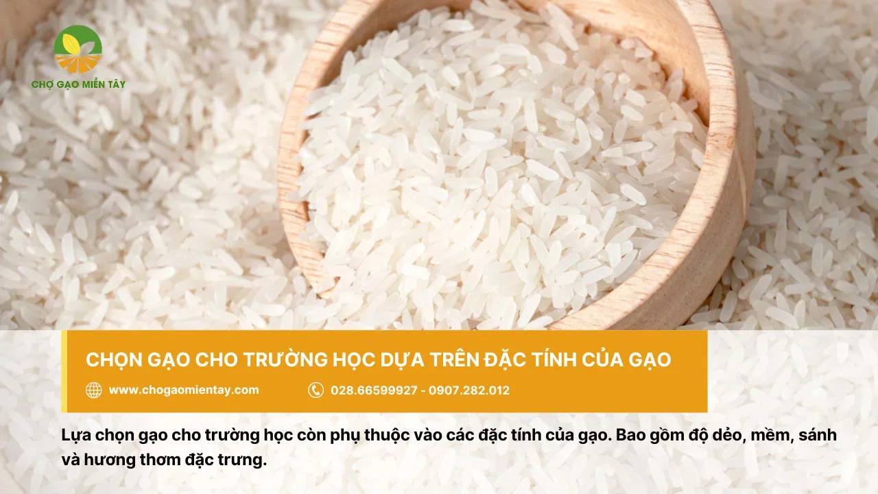 Gạo cho trường học nên có đặc tính dẻo, mềm, thơm và sánh