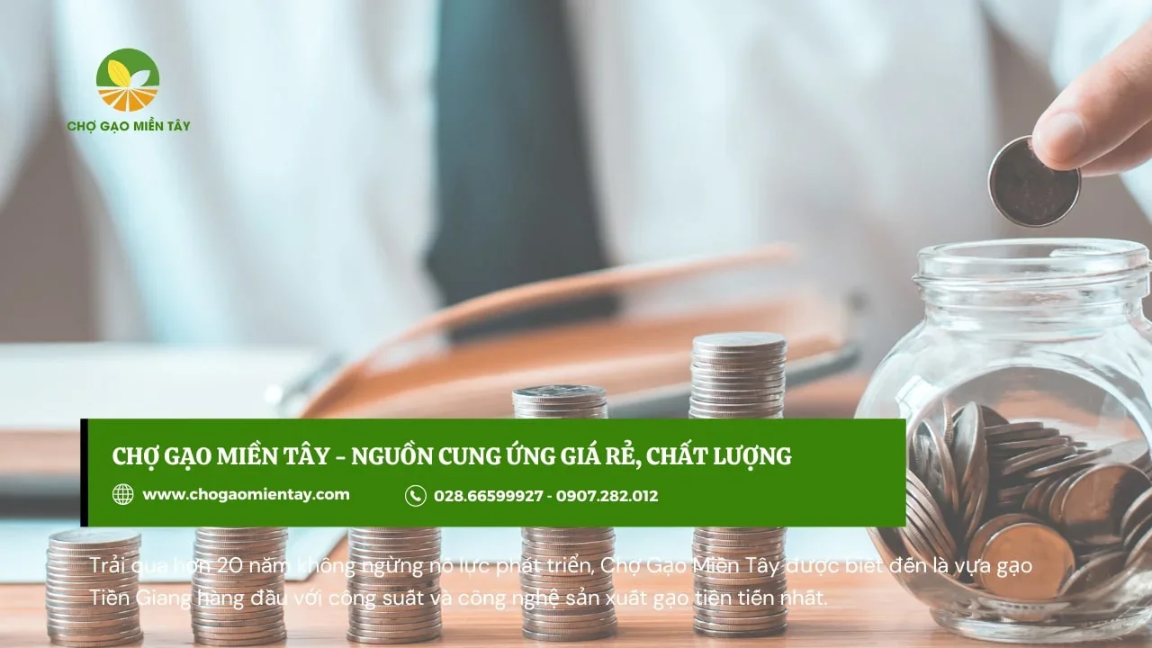 Kinh doanh gạo có được tối ưu hoá lợi nhuận