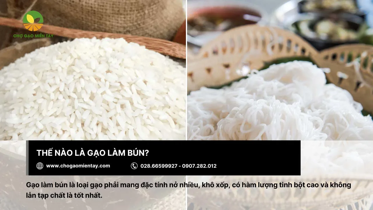 Gạo làm bún với đặc tính khô xốp, nở nhiều