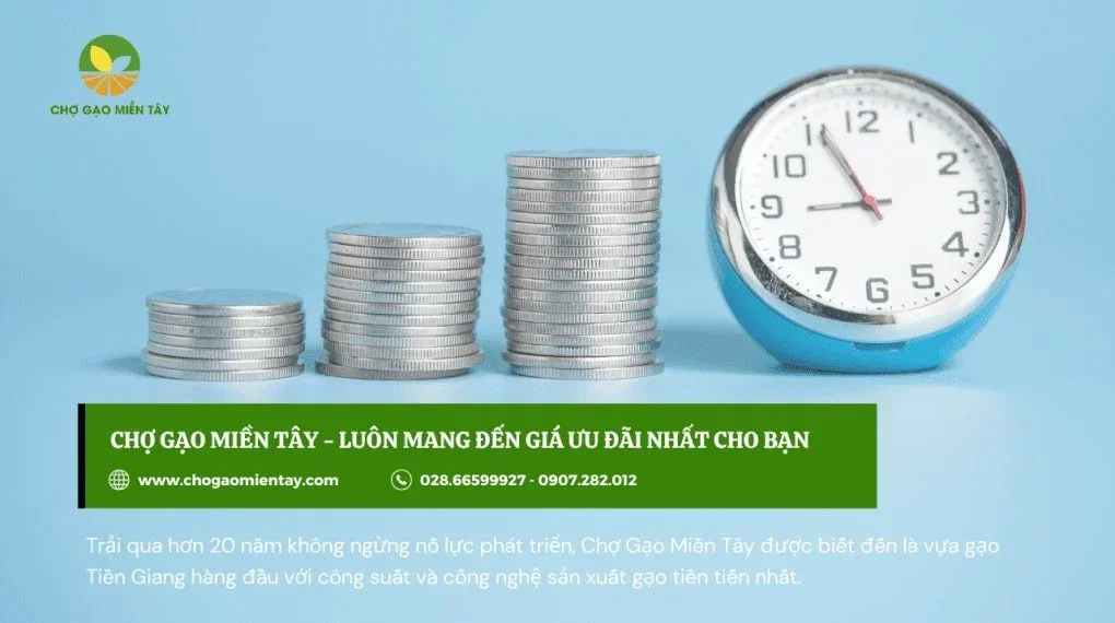 Mất bao lâu để hoàn vốn và có lợi nhuận khi kinh doanh gạo