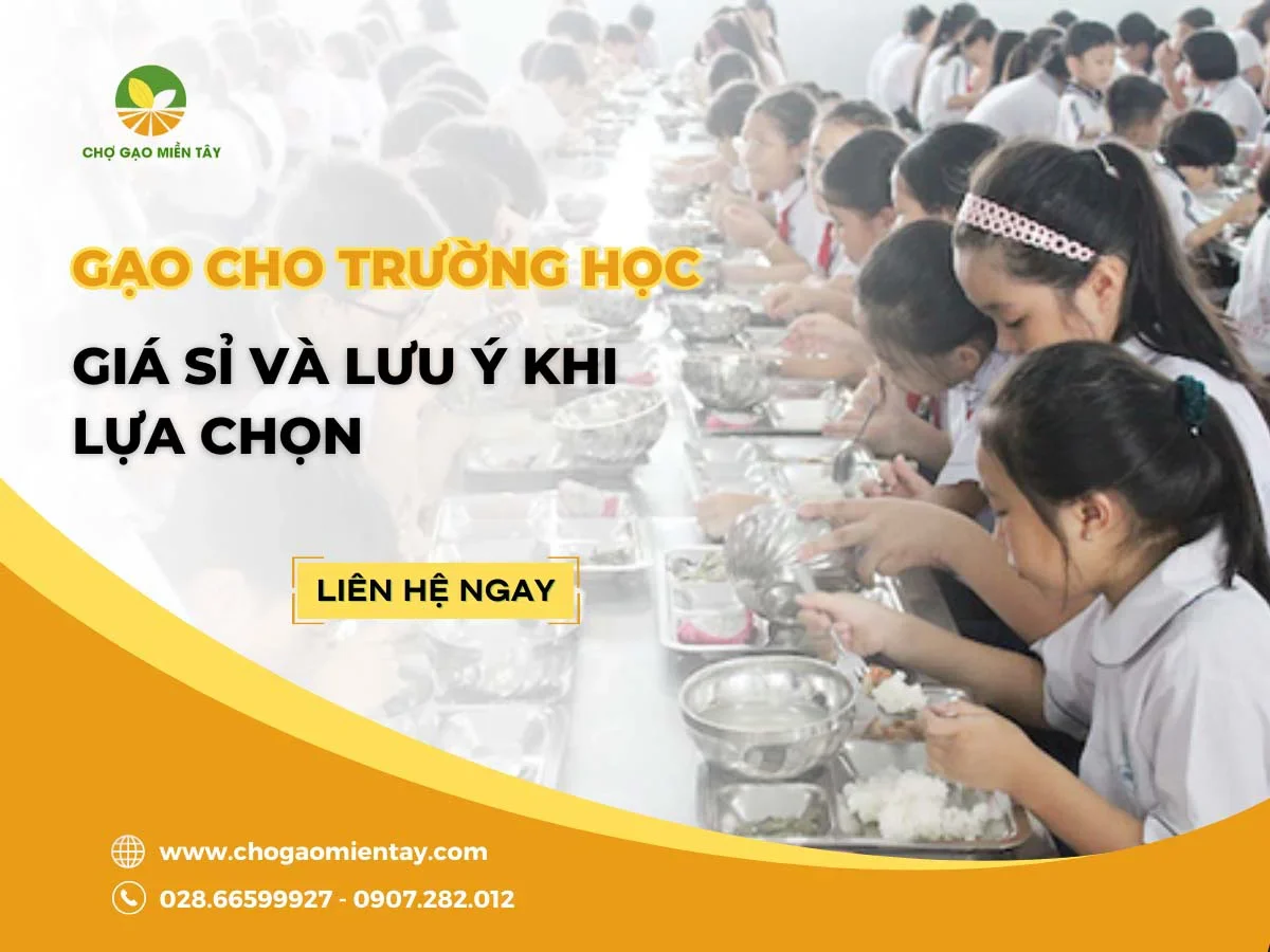 Gạo cho trường học giá sỉ và lưu ý khi lựa chọn