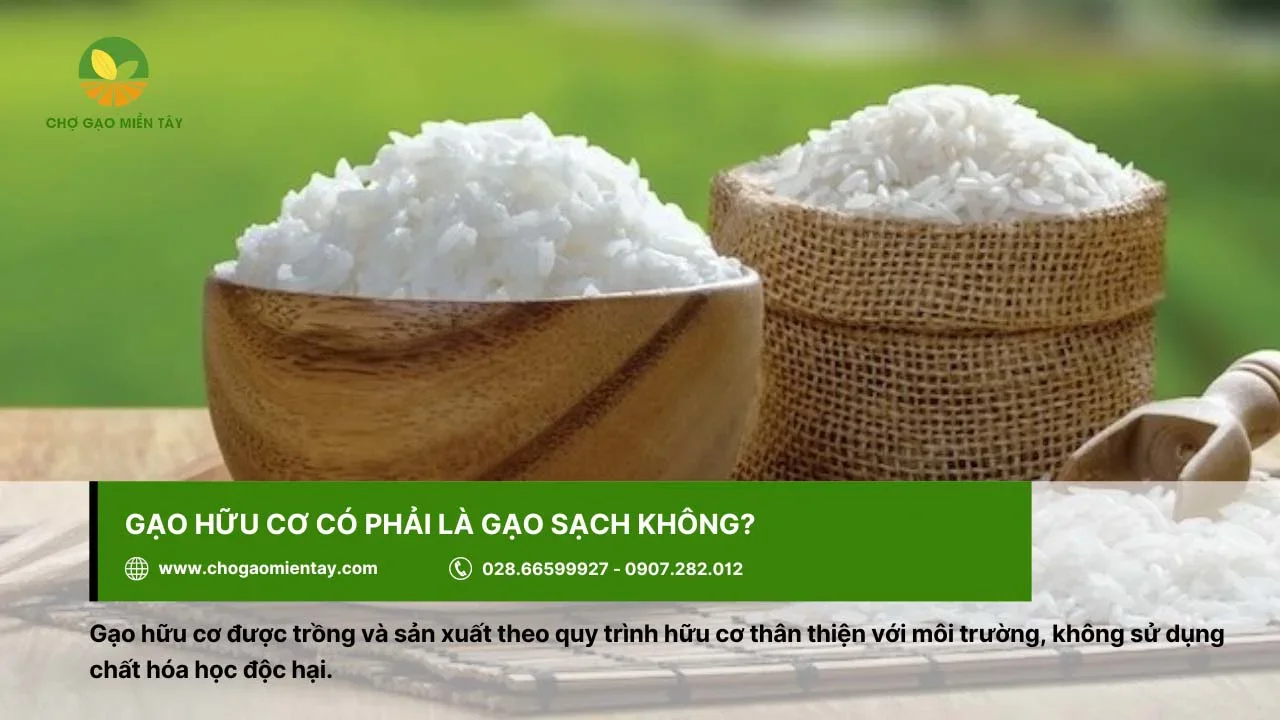 Gạo hữu cơ là gạo sạch, thân thiện với môi trường