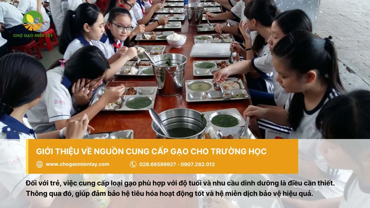 Gạo cung cấp cho trường học cần đảm bảo dinh dưỡng cần thiết