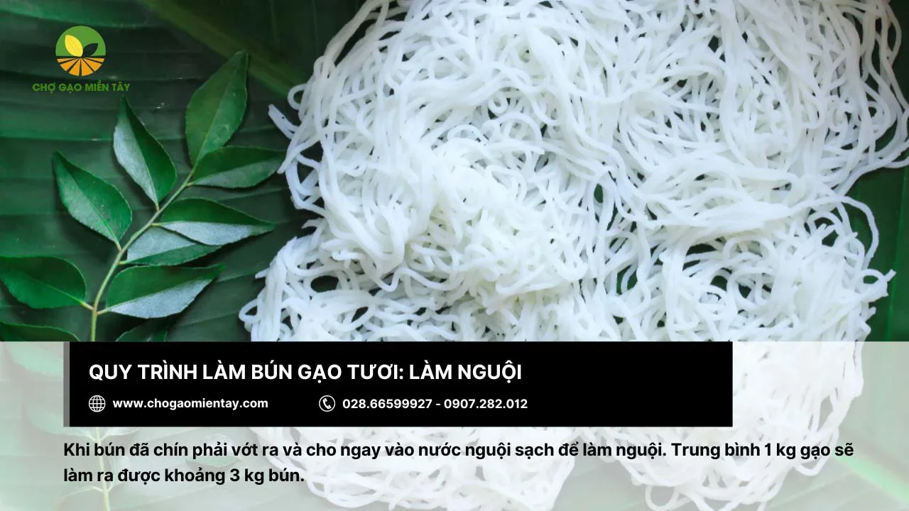Quá trình làm nguội giúp sợi bún dai hơn mà không bị nát
