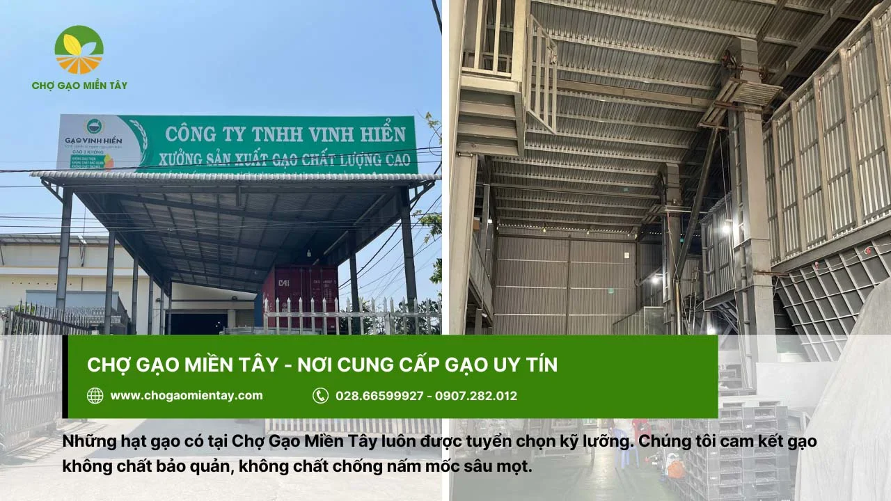 Chợ Gạo Miền Tây sở hữu nhà máy chất lượng, tạo ra gạo sạch, ngon