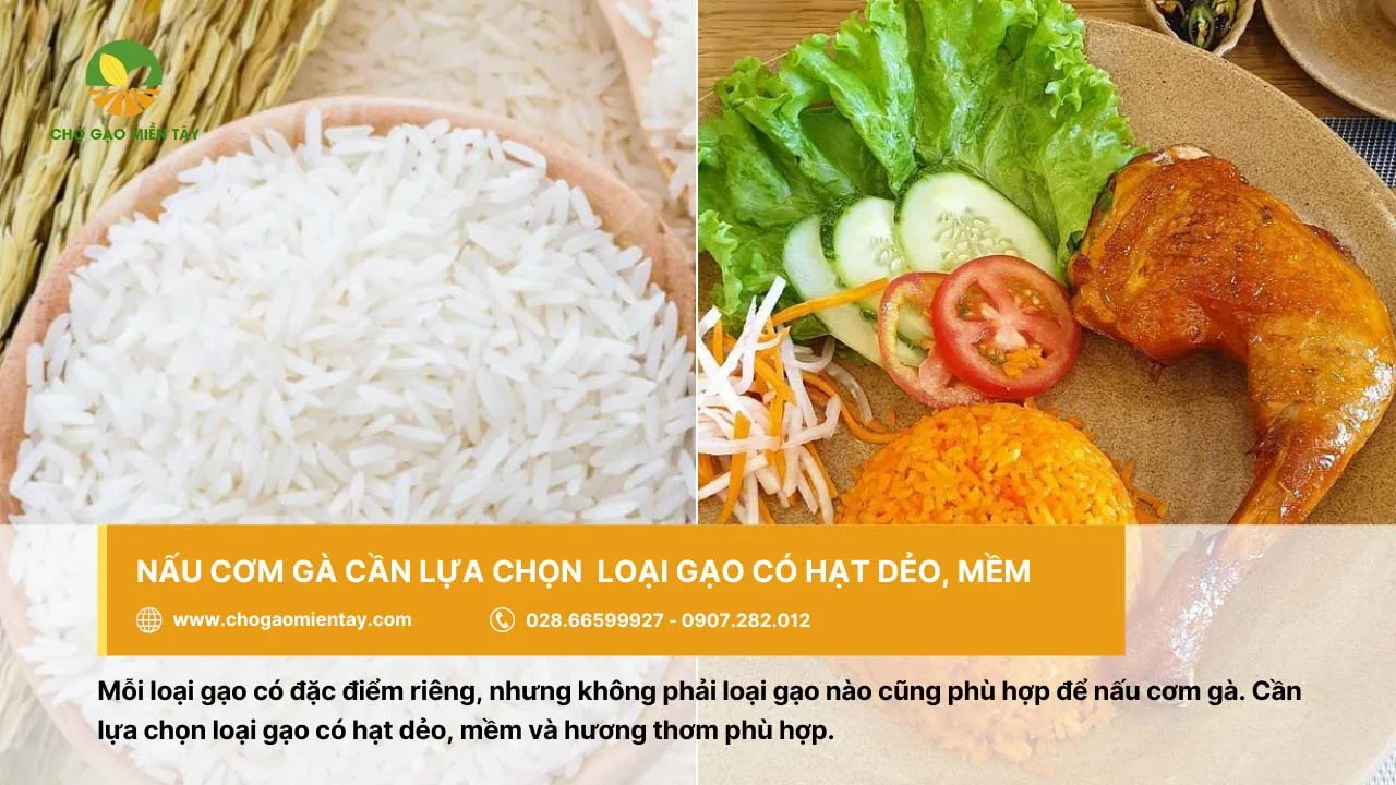 Chọn gạo có hạt dẻo, mềm để nấu cơm gà ngon